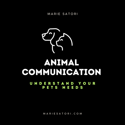 Email: Pet Communication